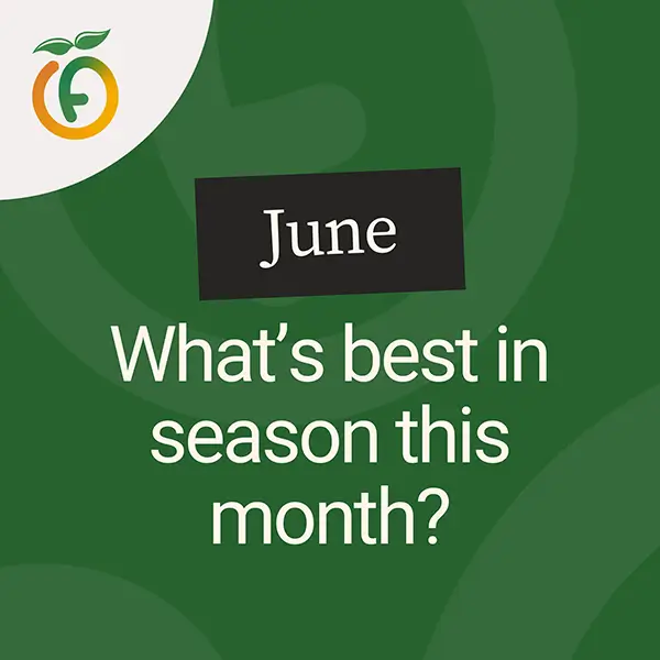 UnitedFres-June-inseason
