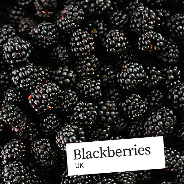 UnitedFresh-Blackberries