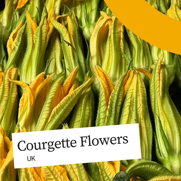 UnitedFresh-Courgette-Flowers