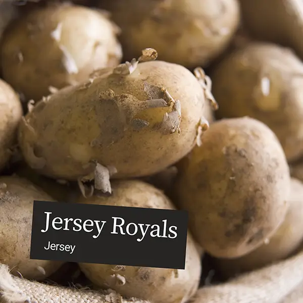 UnitedFresh-Jersey-royals