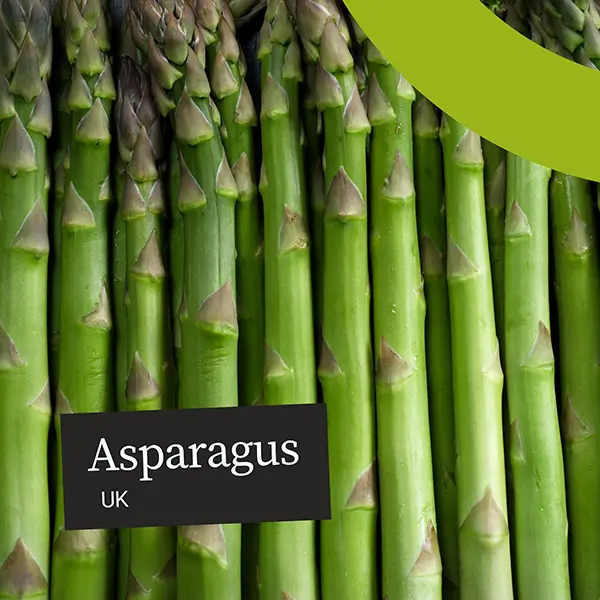 UnitedFresh-asparagus