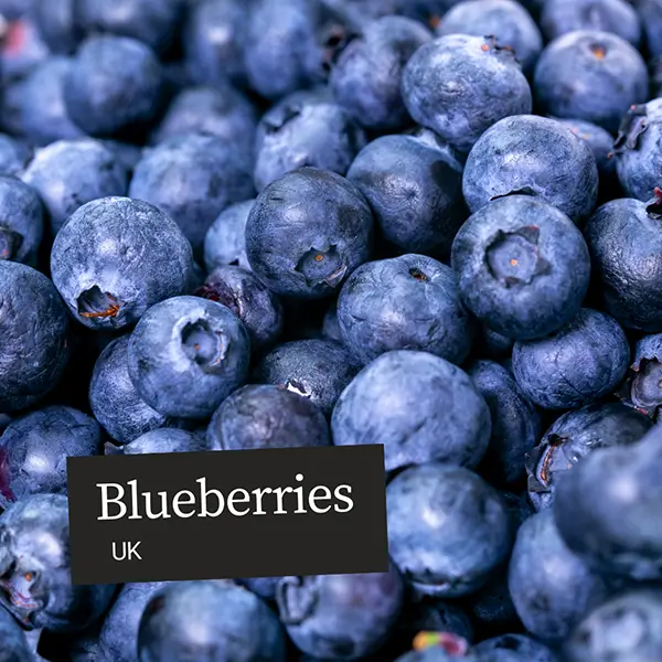 Image of UK blueberries distributed by United Fresh