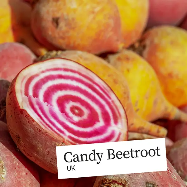 Image of candy beetroot distributed by United Fresh