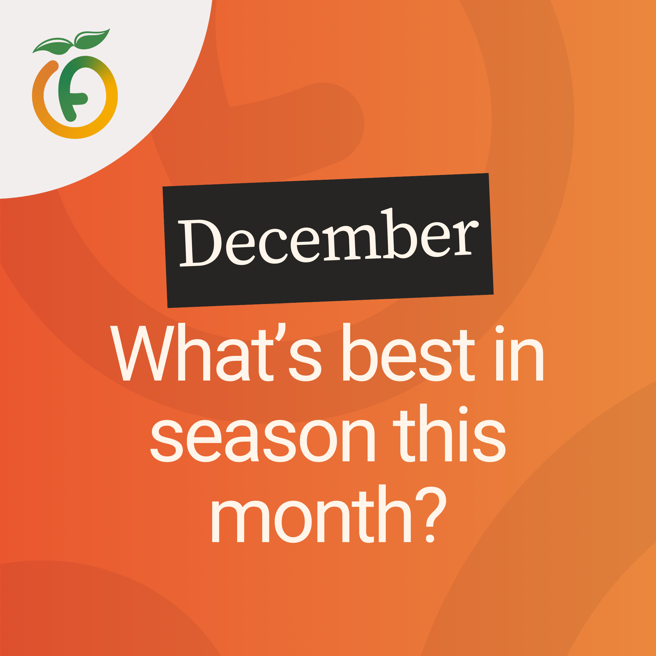 Dec 1