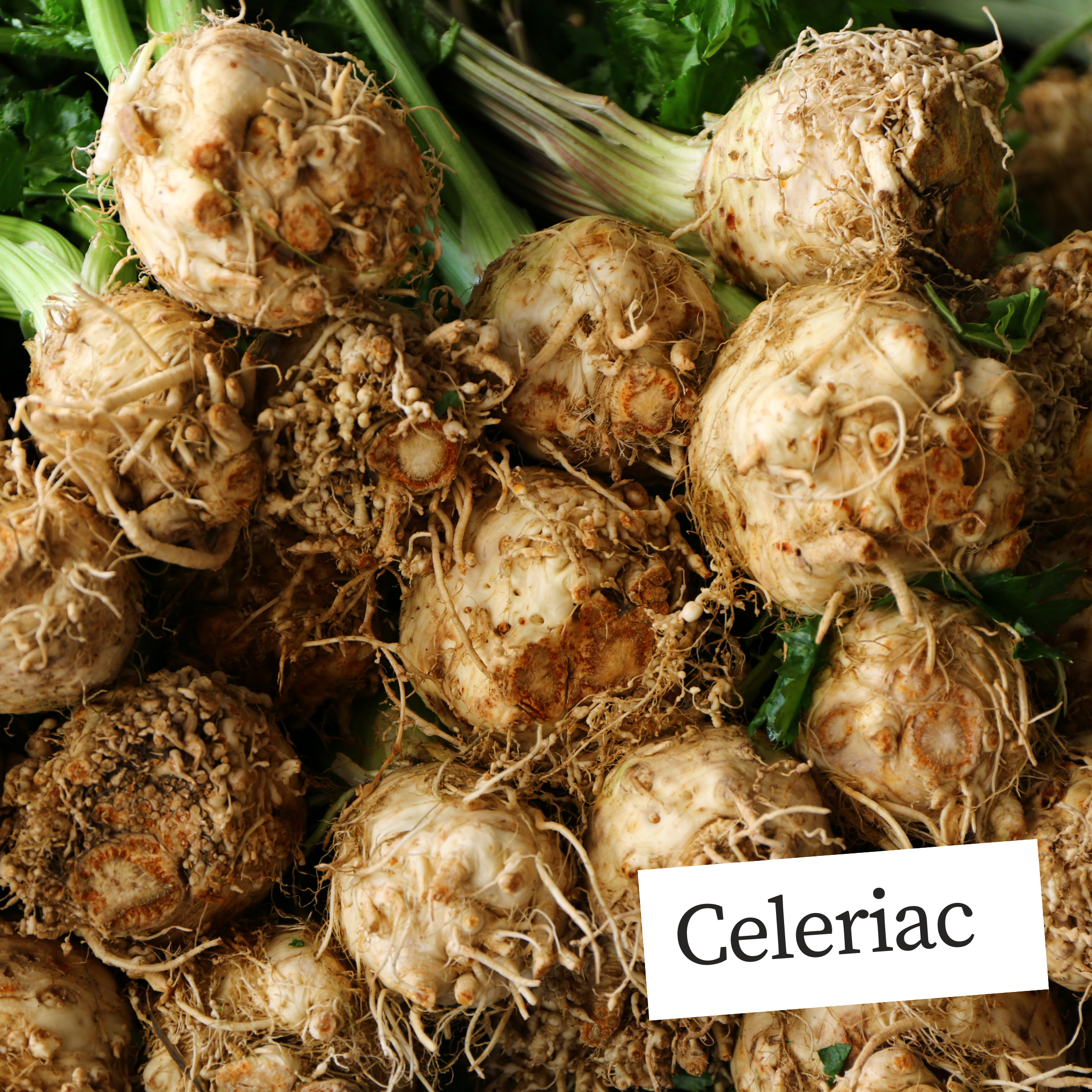 Dec 5