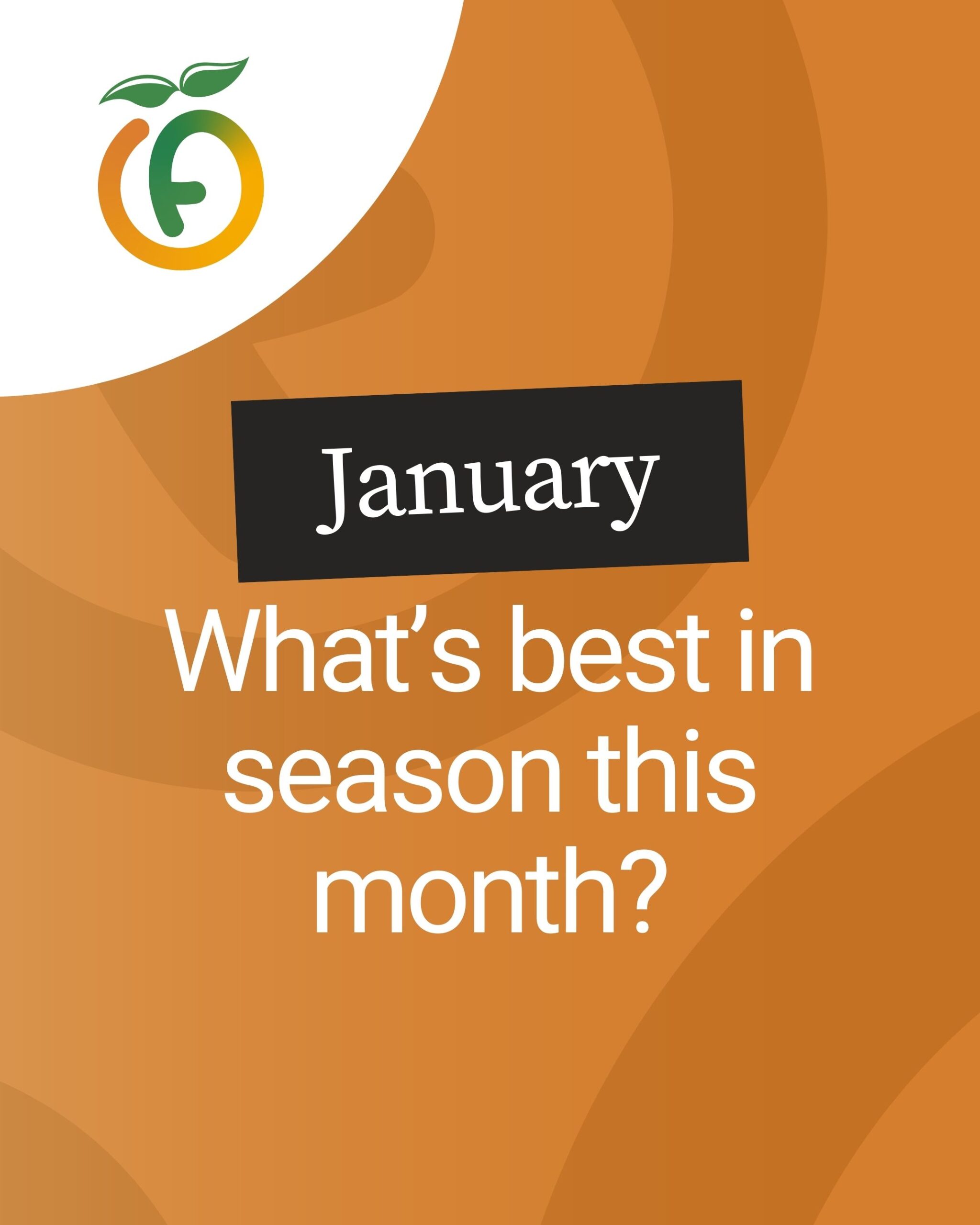 Nov - Dec - Jan
