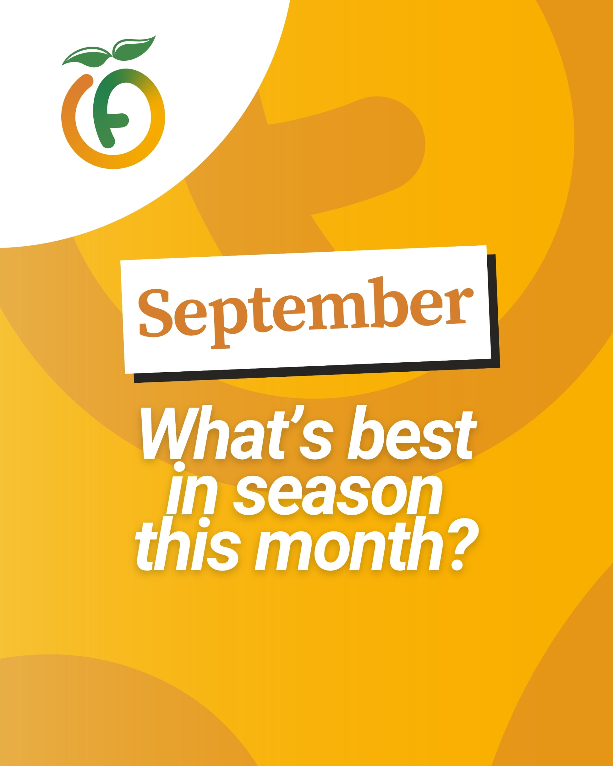 sept 26