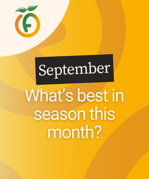 Aug - Sept - Oct